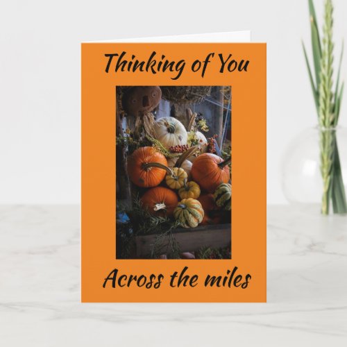 happy_thanksgiving_from_across_the_miles_holiday_card-rdc63450b87024191851a014bf54fc16f_udffh_500.jpg