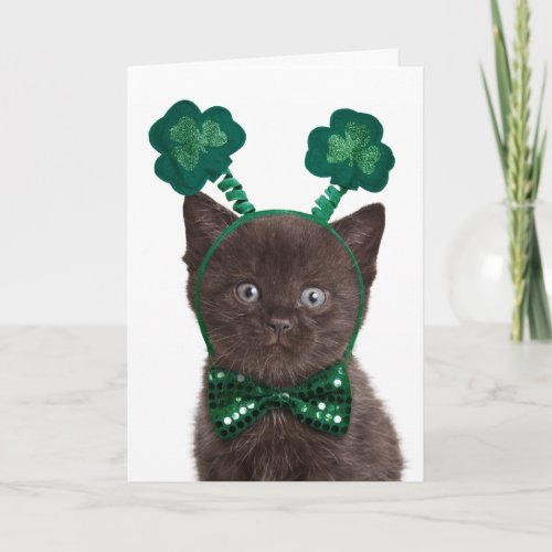 shamrock_kitten_card-rd070c27d700344f6a8aeec474d507ef5_udffh_500.jpg